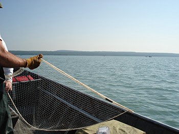 Michigan: fish survey nets to be placed along St. Marys River in August