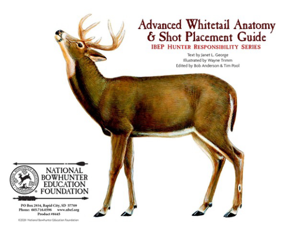 Improve Accuracy, Reduce Game Recovery Time with NBEF’s Whitetail Shot Placement Aids