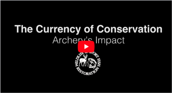 ATA, Partners Complete New Video The Currency of Conservation: Archery’s Impact