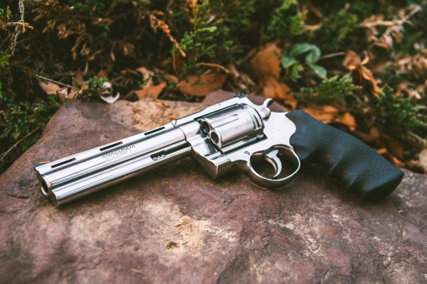 Colt Anaconda for the Handgun Hunter