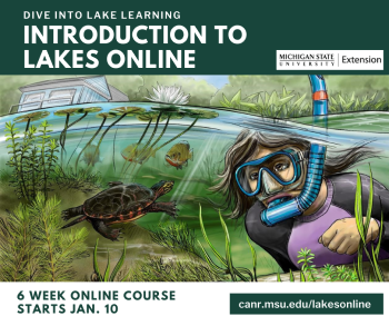 Grow your appreciation for Michigan’s inland lakes with Introduction to Lakes Online course