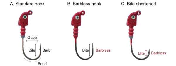 Learn about barbless hooks and how to make them 
