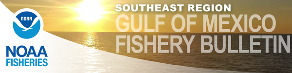 Request for Comments: NOAA Fisheries Requests Public Comments on a Petition to Establish a Mandatory 10-Knot Speed Limit to Protect Endangered Rice’s Whales in Gulf of Mexico