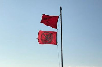 Michigan DNR to Great Lakes beachgoers: Double red flags mean don’t go in the water