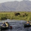 High Adventure Safaris Offering Dreamscape African Photo Safaris