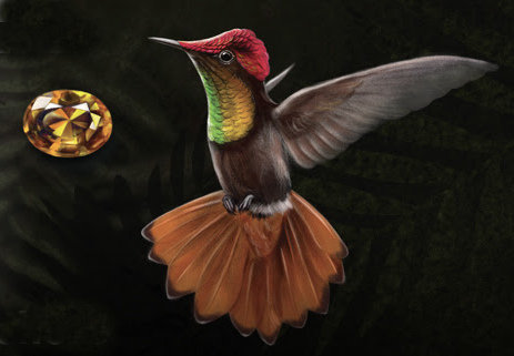 Hummingbird Gems & More