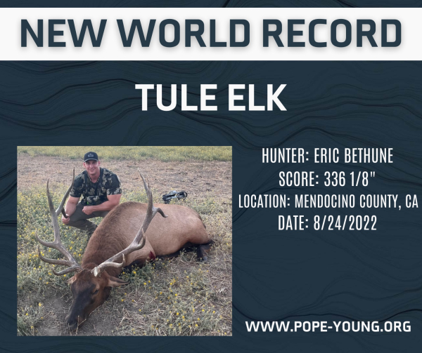 Tule Elk Announced as New World Record