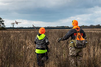 Michigan DNR expands pheasant release program for 2023 upland bird hunting season