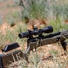 Riton Optics: Ideal for Airguns