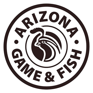 AZGFD Offering Additional Big Game Hunting Opportunities