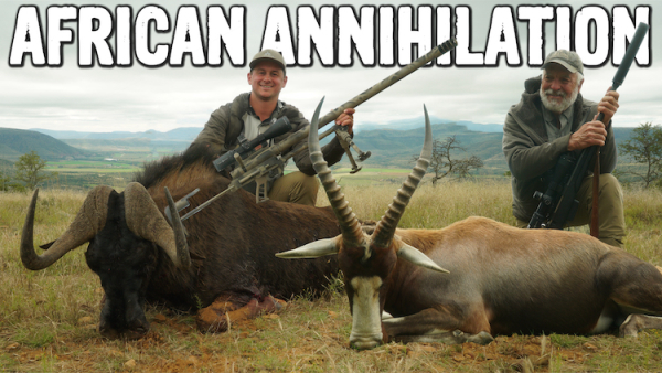 50BMG vs Wildebeest - African Safari