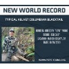 <p>Columbian Blacktail Announces as New World Record</p>
