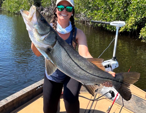 LIVETARGET Scaled Sardine for Big Snook