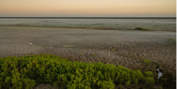 Lake Okeechobee florida water quality everglades restoration