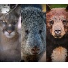 AZG&amp;F Raffle Deadline Approaching