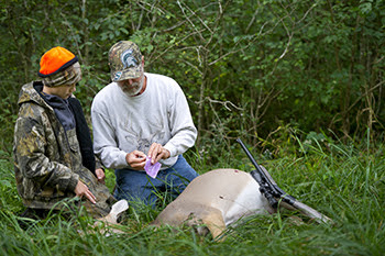Michigan DNR reminds hunters to report deer harvest online