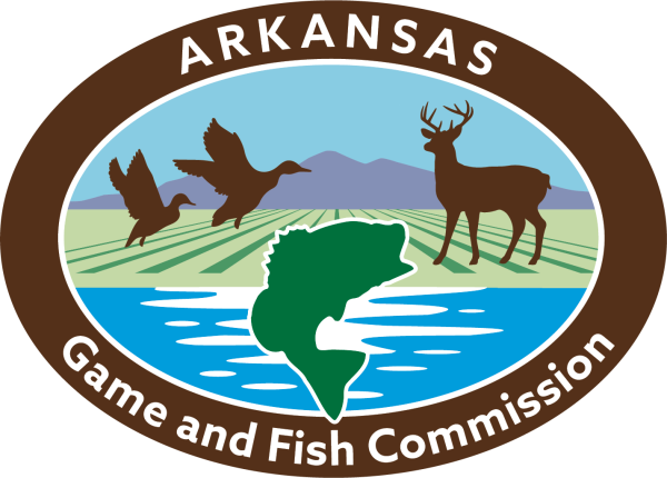 New 30-day Arkansas Waterfowl hunting Permit Available for Nonresidents