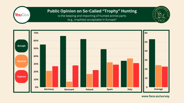 New Survey Sheds Light on European Acceptance of “Trophy” Hunting
