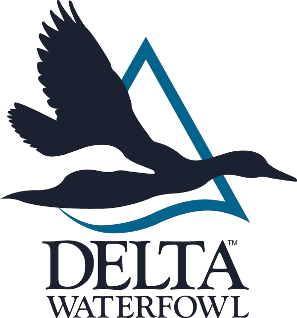 Delta Waterfowl Expands Hen House Program to Record Levels to Produce More Ducks