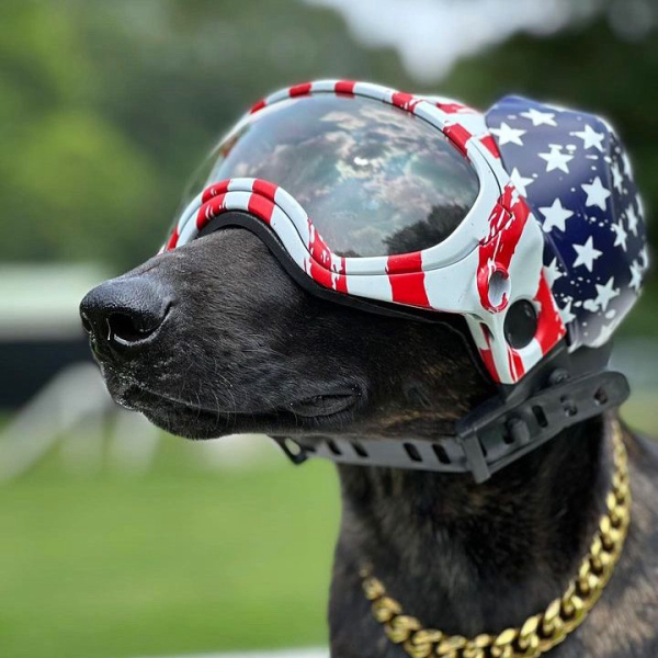 TWN Industries and Dark Systems Team Up to Decorate American Flag K9 Helmets