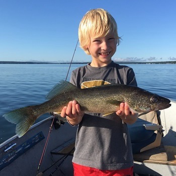 DNR Updates Walleye and Yellow Perch Management Plan for Saginaw Bay