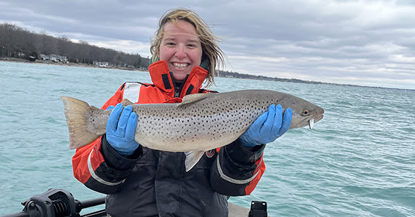 Michigan DNR asks anglers to report tagged brown trout for new Rifle River study