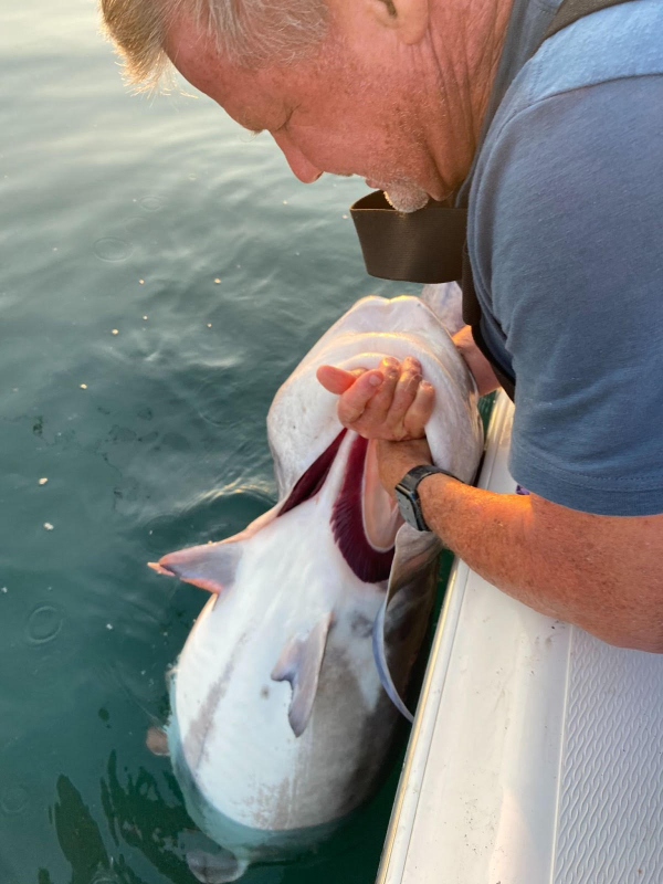 Angler Snags State Paddlefish Record