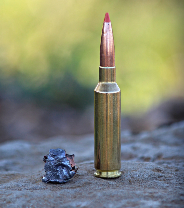 Federal Ammunition’s All-New Fusion Tipped Now Available