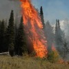 Concerned About Fires in Your Hunting Area? Here's What You Need to Know