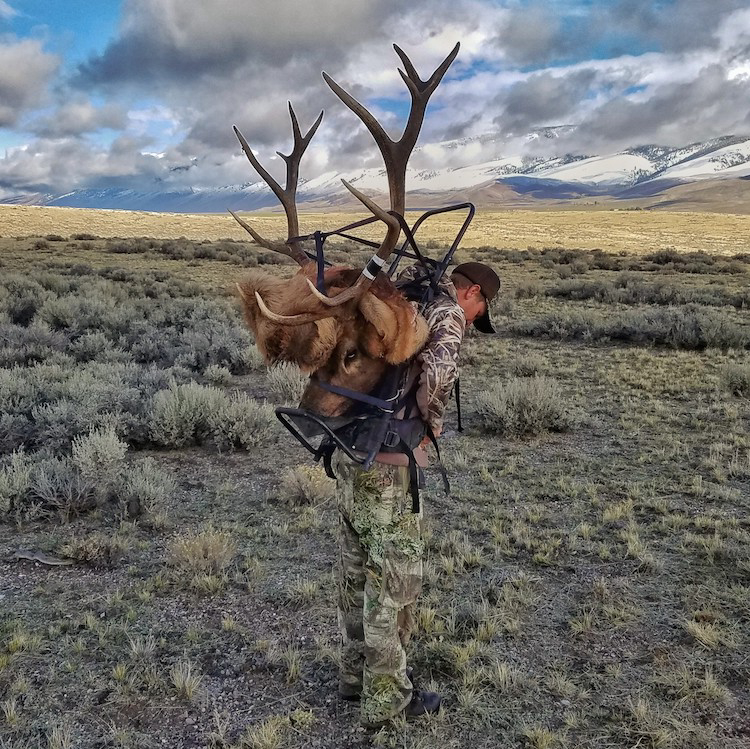 Hunting in Warm Weather Requires Extra Care to Prevent Meat from Spoiling