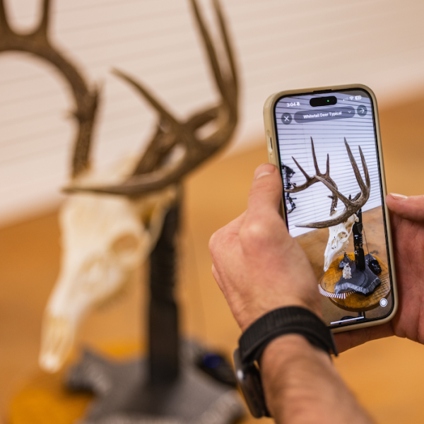 Trophy Scan Launches 3D Scoring Mobile App For Hunters Outdoor Wire