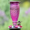 15 Top-Fill Hummingbird Feeders