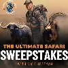 Enter to Win the Ultimate Safari Sweepstakes