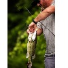 Bucca Brand Debuts 8" Trick Shad